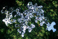 Thumbnail photograph