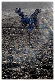 Thumbnail photograph